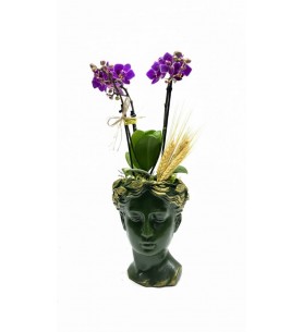 Helen Saksıda Mini Orkide(Yeşil)